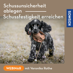 Schussunsicherheit ablegen, Schussfestigkeit erreichen - Jagd - Webinar | Veronika Rothe