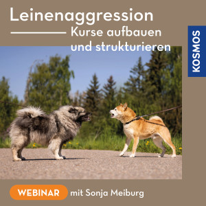 Leinenaggression – Kurse aufbauen und strukturieren - Webinar | Sonja Meiburg