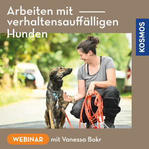 Arbeiten mit verhaltensauffälligen Hunden - Hundetrainer - Webinar | Vanessa Bokr