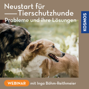 Neustart für Tierschutzhunde – Verständnis statt Mitleid - Hundeanfänger - Webinar | Inga Böhm-Reithmeier