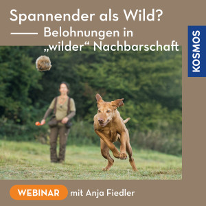 Spannender als Wild? – Belohnungen in wilder Nachbarschaft - Jagdhunde - Webinar | Anja Fiedler