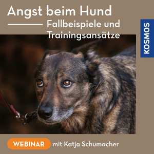 Angst beim Hund – Fallbeispiele und Trainingsansätze - Hundetrainer - Webinar | Katja Schumacher