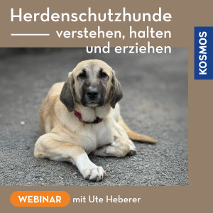 Herdenschutzhunde – verstehen, halten und erziehen - Hundetrainer - Webinar | Ute Heberer