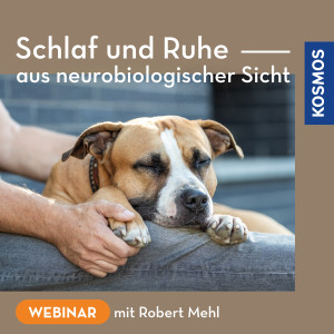 Schlaf und Ruhe aus neurobiologischer Sicht - Webinar | Robert Mehl