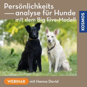 Persönlichkeitsanalyse für Hunde – mit dem Big Five-Modell - Hundeanfänger - Webinar | Hanna David