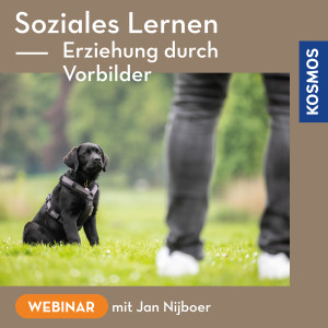 Soziales Lernen – Erziehung durch Vorbilder - Webinar | Jan Nijboer