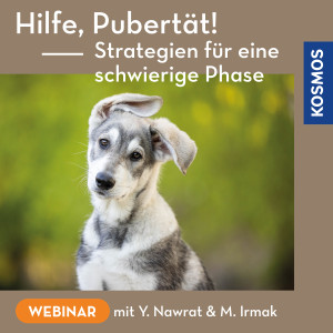 Hilfe, Pubertät! Strategien für eine schwierige Phase - Hundeanfänger - Webinar | Mustafa Irmak, Yvonne Nawrat
