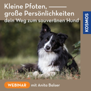 Kleine Pfoten, große Persönlichkeiten – dein Weg zum souveränen Hund - Webinar | Anita Balser