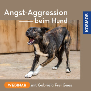 Angst-Aggression beim Hund - Hundetrainer - Webinar | Gabriela Frei Gees