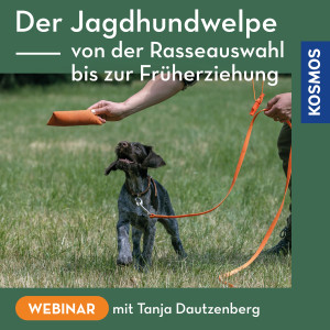 Der Jagdhundwelpe – Von der Rasseauswahl bis zur Früherziehung - Webinar | Tanja Dautzenberg