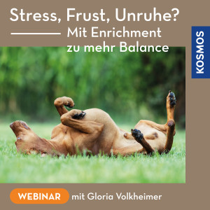Stress, Frust, Unruhe? Mit Enrichment zu mehr Balance - Webinar | Gloria Volkheimer