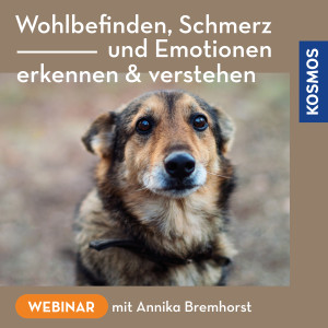 Wohlbefinden, Schmerz und Emotionen – erkennen & verstehen - Webinar | Annika Bremhorst