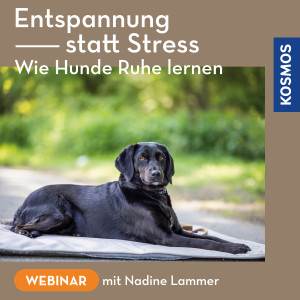 Entspannung statt Stress – Wie Hunde Ruhe lernen - Webinar | Nadine Lammer