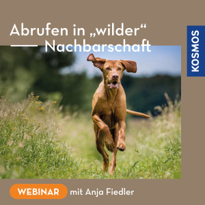 Abrufen in wilder Nachbarschaft - Webinar | Anja Fiedler