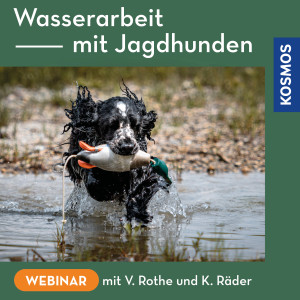 Wasserarbeit mit Jagdhunden - Webinar | Veronika Rothe, Kristina Räder