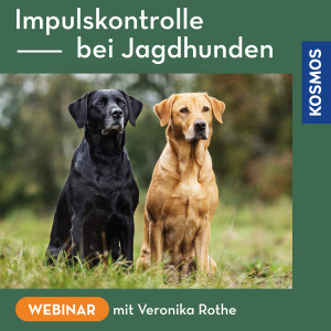 Impulskontrolle bei Jagdhunden - Webinar | Veronika Rothe
