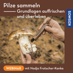 Pilze sammeln – Grundlagen auffrischen und überleben - Webinar | Nadja Frotscher-Kanka