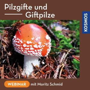 Pilzgifte und Giftpilze - Webinar | Moritz Schmid