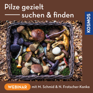 Pilze gezielt suchen und finden