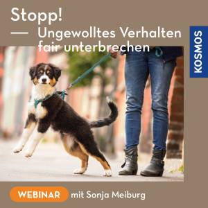 Stopp! Ungewolltes Verhalten fair unterbrechen - Webinar | Sonja Meiburg