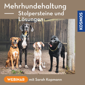 Mehrhundehaltung – Stolpersteine und Lösungen - Webinar | Sarah Kopmann