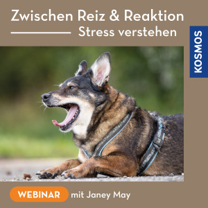 Zwischen Reiz & Reaktion – Stress verstehen