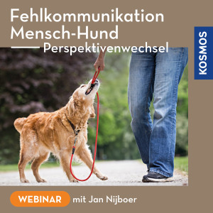 Fehlkommunikation Mensch-Hund – Perspektivenwechsel