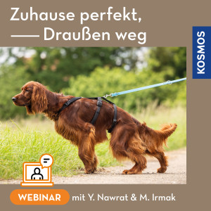 Zuhause perfekt, draußen weg