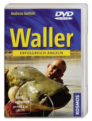 Waller angeln