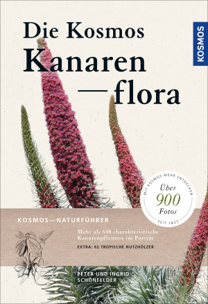 Die Kosmos-Kanarenflora