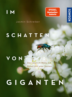Im Schatten von Giganten