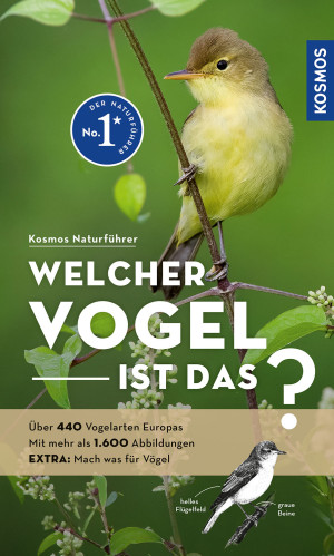 Welcher Vogel ist das?