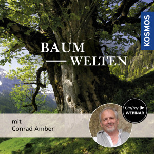 Baumwelten - Naturliebhaber - Webinar | Conrad Amber