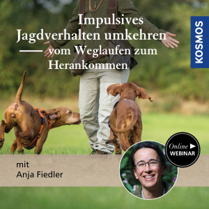 Impulsives Jagdverhalten umkehren: vom Weglaufen zum Herankommen - Jagdhunde - Webinar | Anja Fiedler
