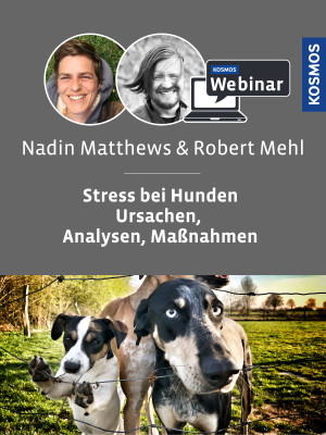 Stress beim Hund – Ursachen, Analyse, Maßnahmen - Hundetrainer - Webinar | Nadin Matthews, Robert Mehl
