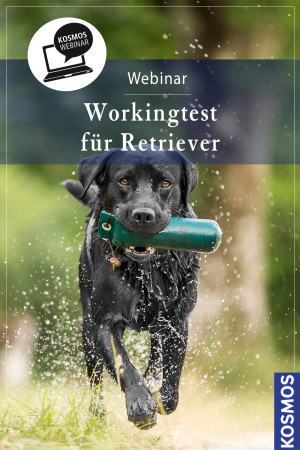 Working-Tests für Retriever - die rassegerechte Beschäftigung mit dem Dummy - Jagdhunde - Webinar | Anja Möller