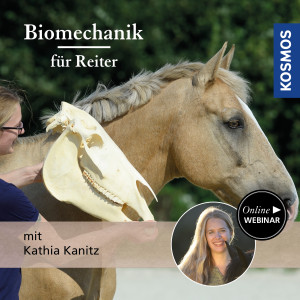 Biomechanik für Reiter - Pferdetrainer - Webinar | Kathia Kanitz