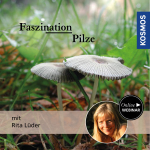 Faszination Pilze - Naturliebhaber - Webinar | Rita Lüder