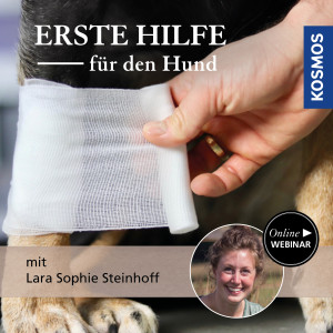 Erste Hilfe für den Hund - Hundeanfänger - Webinar | Lara Sophie Steinhoff