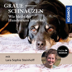 Graue Schnauzen - wie bleibt der Hundesenior lange fit? - Hundeanfänger - Webinar | Lara Sophie Steinhoff