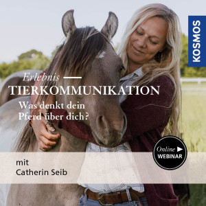 Erlebnis Tierkommunikation – Was denkt dein Pferd über dich? - Pferdeliebhaber - Webinar | Catherin Seib