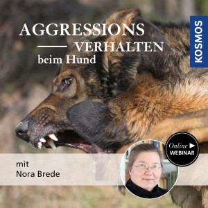 Aggressionsverhalten beim Hund - Hundetrainer - Webinar | Nora Brede