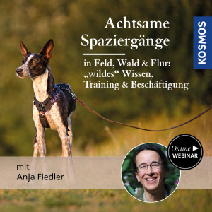 Achtsame Spaziergänge in Feld, Wald & Flur: wildes Wissen, Training & Beschäftigung - Jagdhunde - Webinar | Anja Fiedler