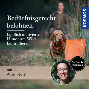 Bedürfnisgerecht belohnen – Jagdlich motivierte Hunde am Wild kontrollieren - Jagdhunde - Webinar | Anja Fiedler