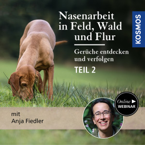 Nasenarbeit in Feld, Wald und Flur: Gerüche entdecken und verfolgen II - Jagdhunde - Webinar | Anja Fiedler