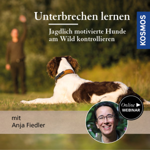 Unterbrechen lernen – Jagdlich motivierte Hunde am Wild kontrollieren - Jagdhunde - Webinar | Anja Fiedler