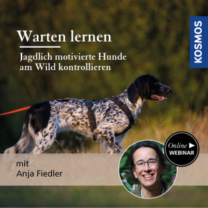 Warten lernen – Jagdlich motivierte Hunde am Wild kontrollieren - Jagdhunde - Webinar | Anja Fiedler