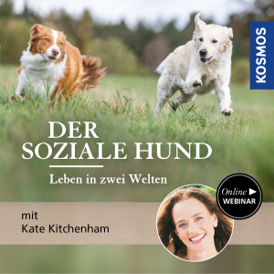 Der soziale Hund – Leben in zwei Welten - Hundeanfänger - Webinar | Kate Kitchenham