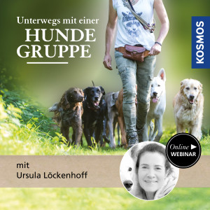 Unterwegs mit einer Hundegruppe - Hundeanfänger - Webinar | Ursula Löckenhoff