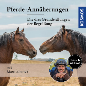 Pferde-Annäherungen: Die drei Grundstellungen der Begrüßung - Pferdeliebhaber - Webinar | Marc Lubetzki